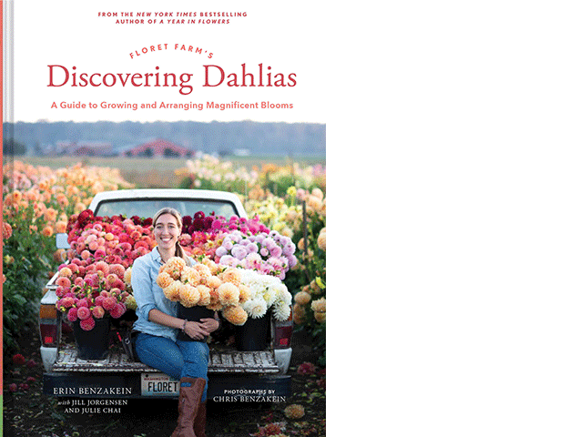 澳洲幸运5开奖结果预测官网结果记录 Floret Farm's Discovering Dahlias